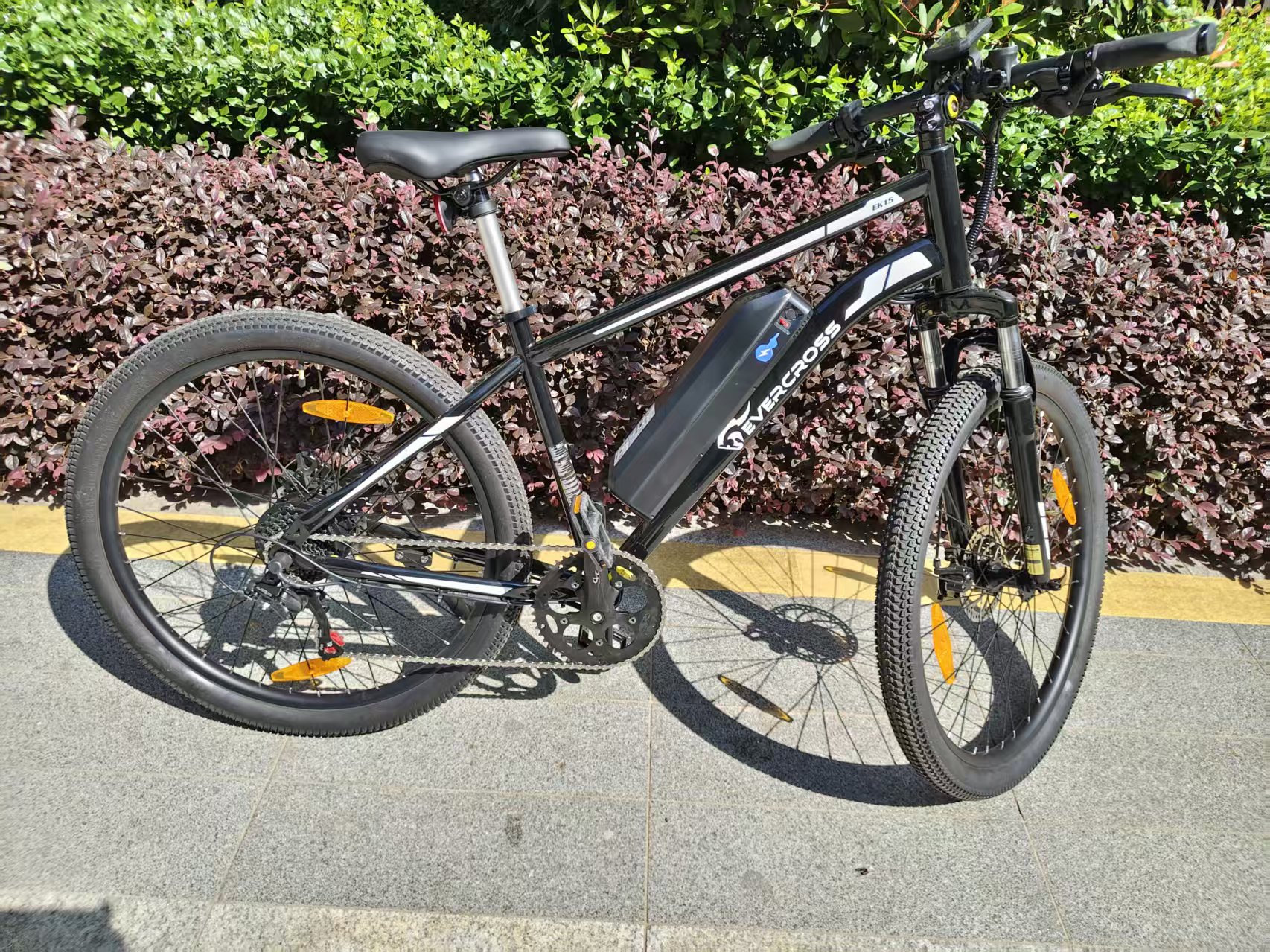 电助力自行车